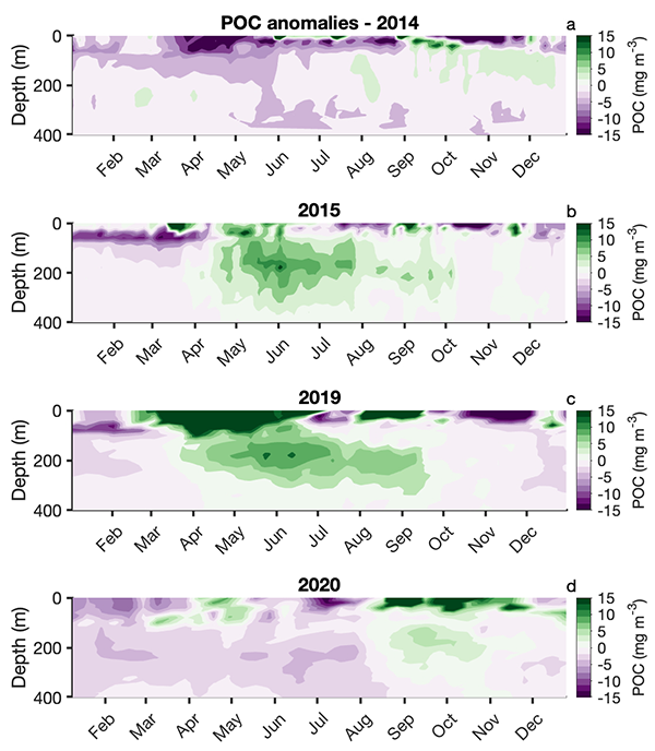 Particulate organic carbon anomalies recorded during marine heatwaves-600