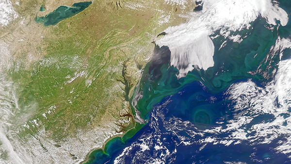 Swirling eddies of phytoplankton blooms viewed from NASA’s PACE satellite