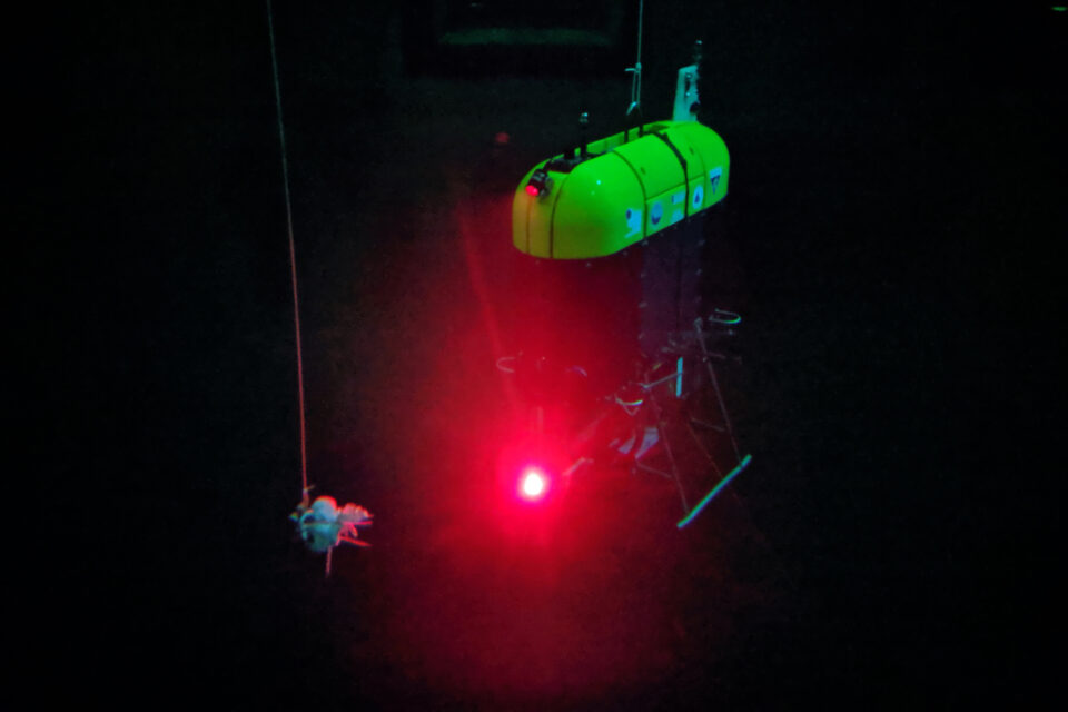 A robot that can follow animals in the deep sea — MBARI Annual Report: 2019